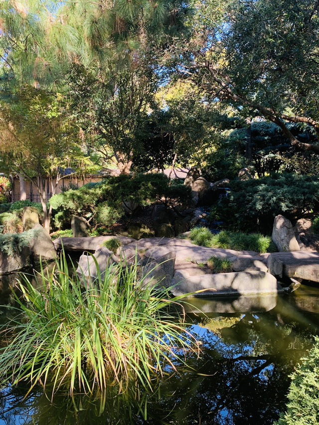 Adelaide what an amazing city!
