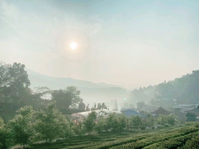 ลีไวน์รักไทย รีสอร์ท จ.แม่ฮ่องสอน 🛖🏞