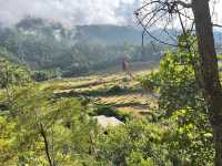 Khamsum Yulley Namgyal Chorten – A Hike With a View That Stays With You