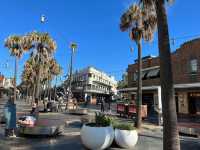 Manly to Shelly Beach – A Coastal Walk Worth Slowing Down For