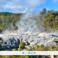 【NZ】🌋オークランドからロトルアへ！