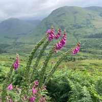 A Highland Ascent: Hiking the Pap of Glencoe