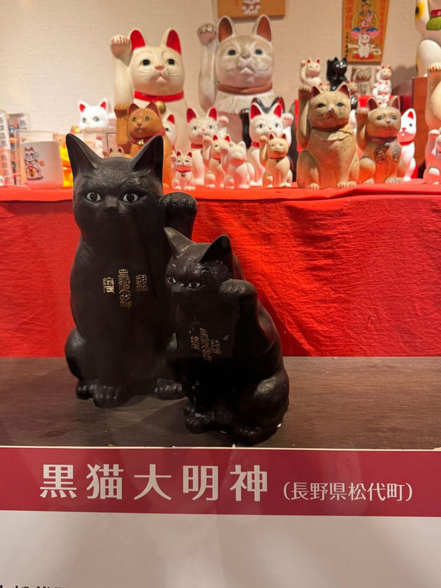 另類購物點🥰貓奴必去🤣招財貓俱樂部