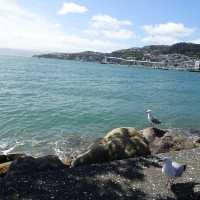 Wellington ショートトリップ