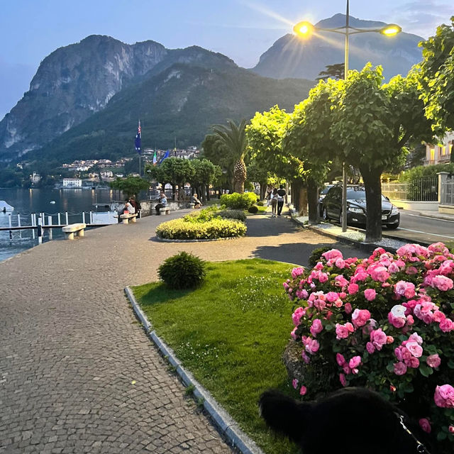 Serenity by the Water: Lake Como