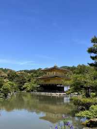 🏯金光閃閃的夢幻京都✨金閣寺自由行
