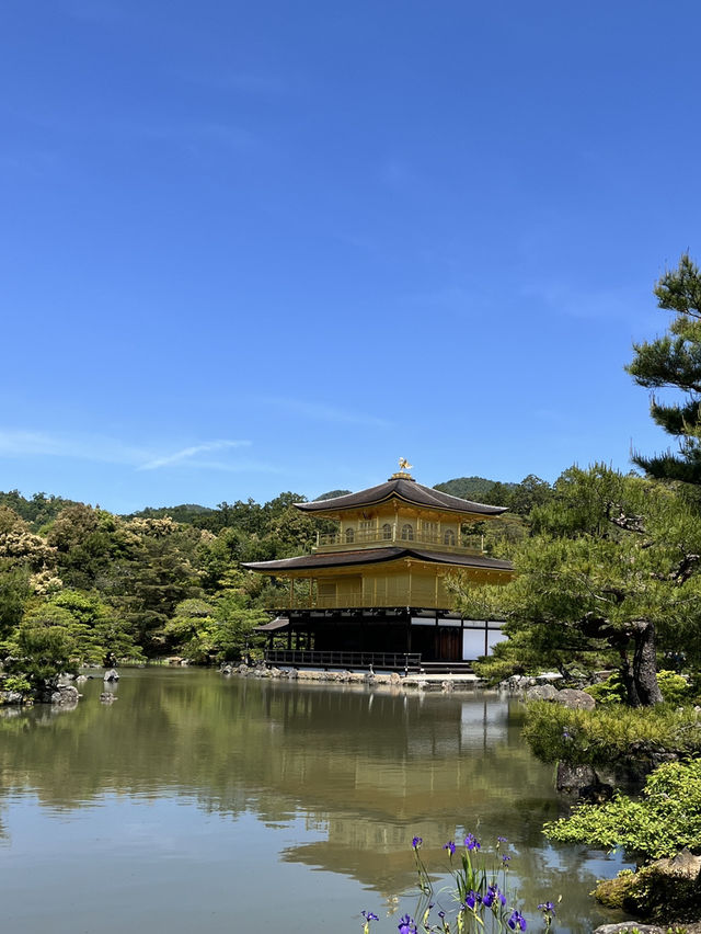 🏯金光閃閃的夢幻京都✨金閣寺自由行