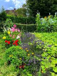 Whispers of Spring at Stoney Road Allotments 