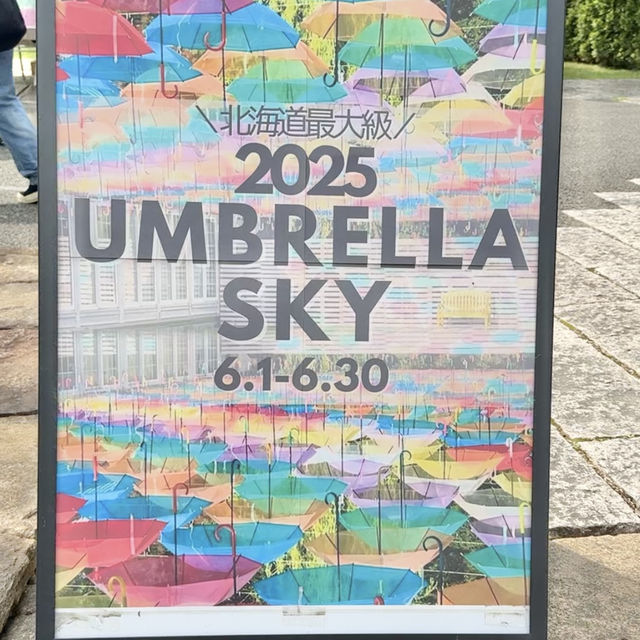 北海道最大級🌈6月しか見られないアンブレラスカイ