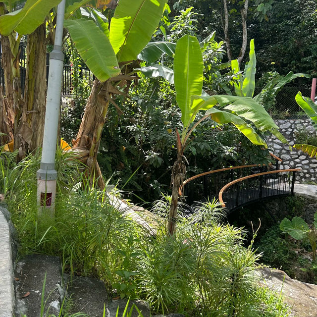 🌿 Escape Into Nature – Without Leaving KL!