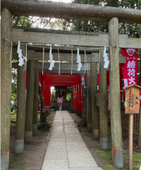 【神木與靈泉的庇佑】走進鹿島神宮—一場靜心與祝福的神域旅程