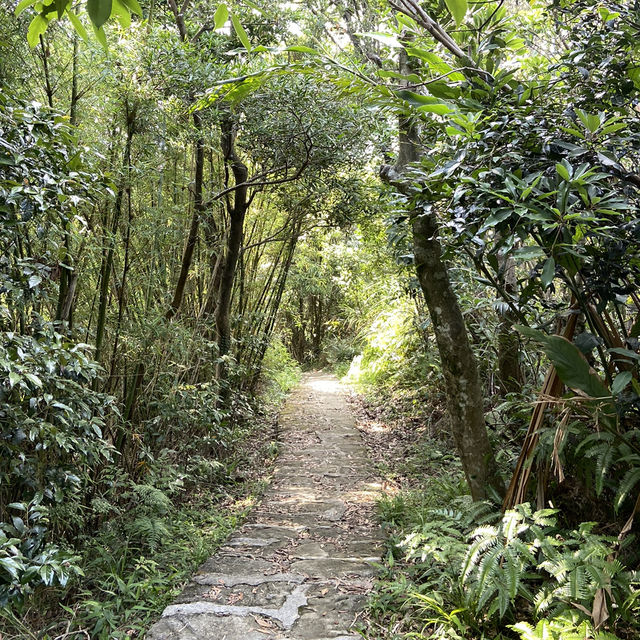 🚶‍♂️台北大縱走第五段｜逆走攻略：碧山巖 ➝ 劍潭站