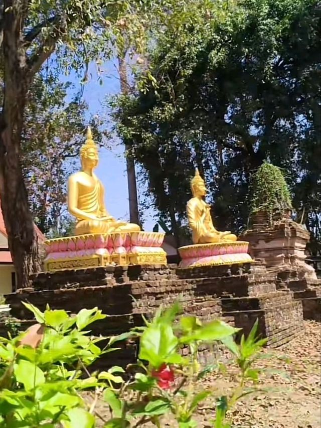 วัดช้างเผือก เพชรบูรณ์ งามสง่ากลางหุบเขา