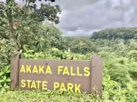 Akaka Falls State Park – Big Island