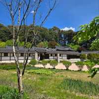 Wandering Through Seongyojang House