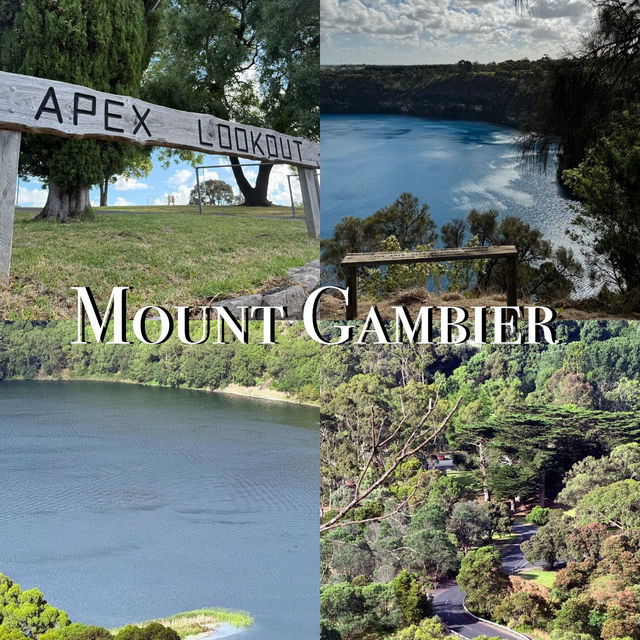 Mount Gambier | Perfect Spot for a Short Road Trip 🚗🌿 Naracoorte Caves National Park 