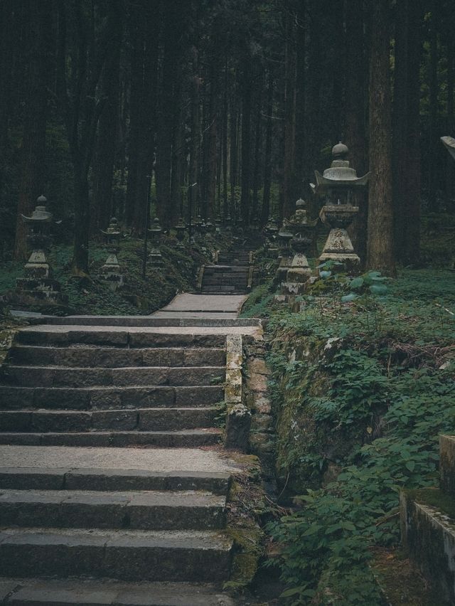 A Hidden Gem Straight Out of a Ghibli Film 🍃⛩️