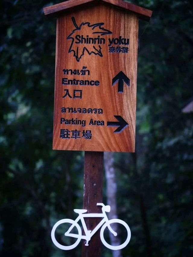 เที่ยวหน้าฝนในป่าเขียว สดชื่นจับใจ
