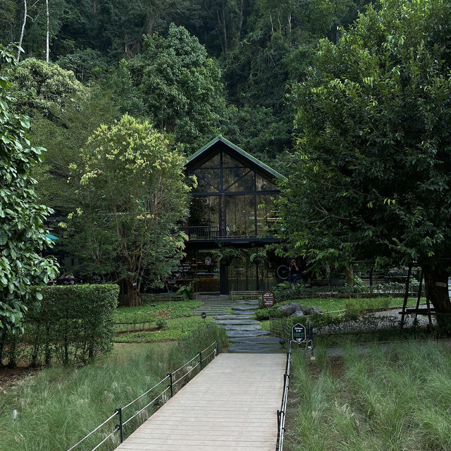 ‘Into the Forest Café’ 