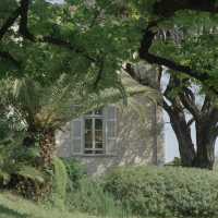 Renoir Museum 🎨 | A Quiet Afternoon in the South of France