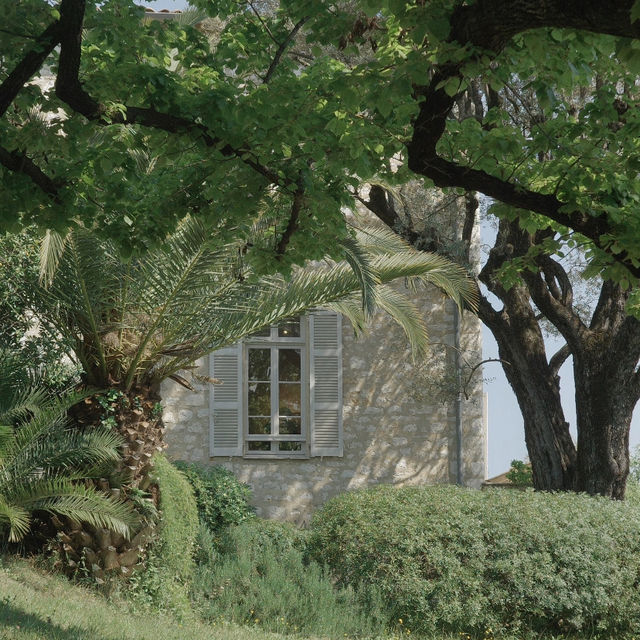 Renoir Museum 🎨 | A Quiet Afternoon in the South of France