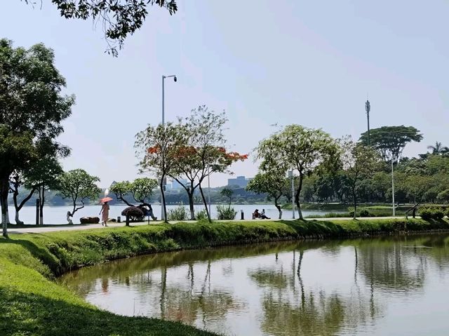 🏞️ 松山湖生態園區