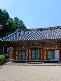 숲길 데이트