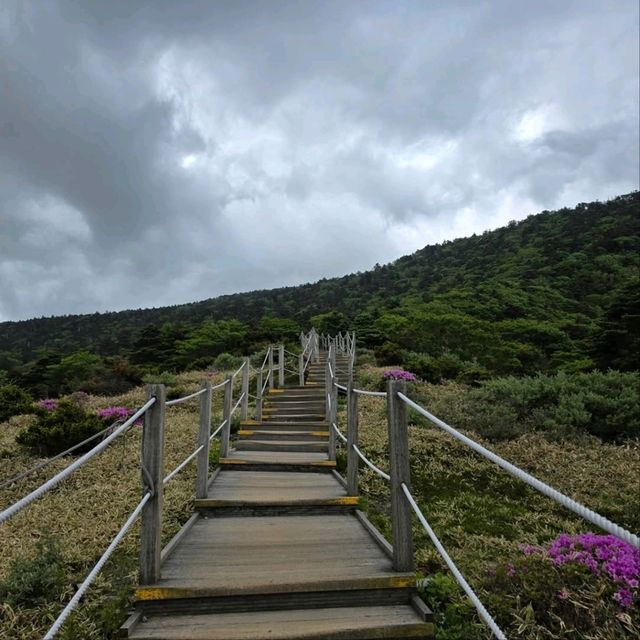 1950m of Sweat, Clouds, and Total Wow