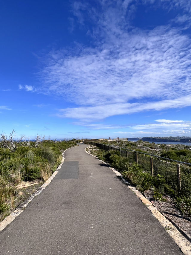 🌿⛰️【Sydney Harbour National Park 攻略】眺望雪梨天際線的絕美秘境✨