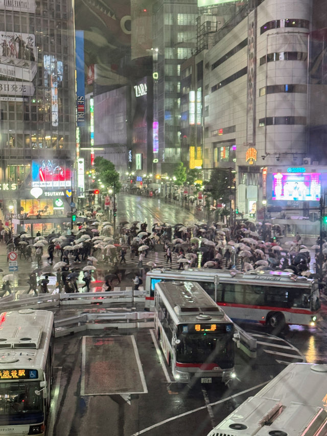🗼처음이라 더 좋았던 도쿄 3박 4일 여행기