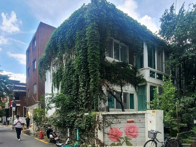 서울숲공원 (하늘 그리고 수국길)