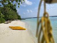 Two Hearts,One Swing,Endless Ocean