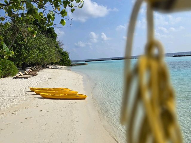 Two Hearts,One Swing,Endless Ocean