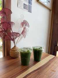 คาเฟ่มัจฉะ ใน มข. 🍵