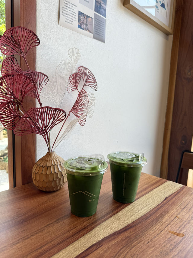 คาเฟ่มัจฉะ ใน มข. 🍵
