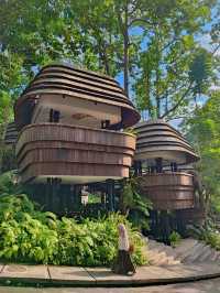 While Are You Here- My Jungle Café Dream in Bali 