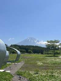 富士山の麓のワイナリー