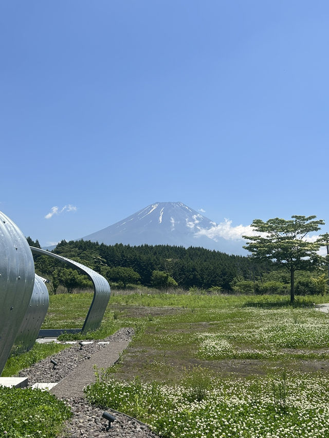 富士山の麓のワイナリー