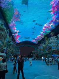 親子遊🇨🇳珠海長隆海洋王國🌊🐬🐋🐟全攻略