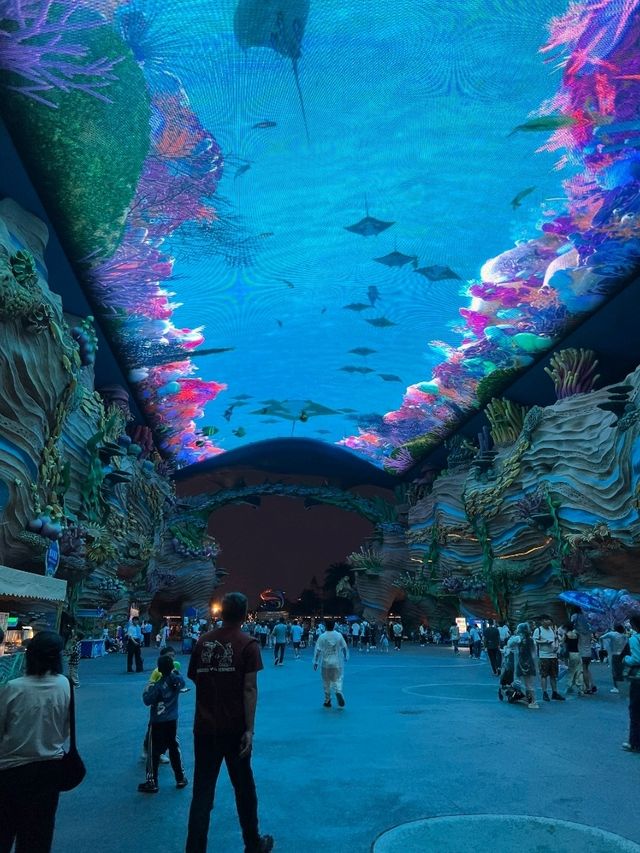 親子遊🇨🇳珠海長隆海洋王國🌊🐬🐋🐟全攻略