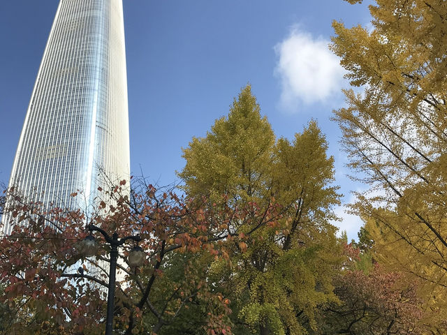 🍁 ใบไม้เปลี่ยนสีที่ทะเลสาบซอกชน