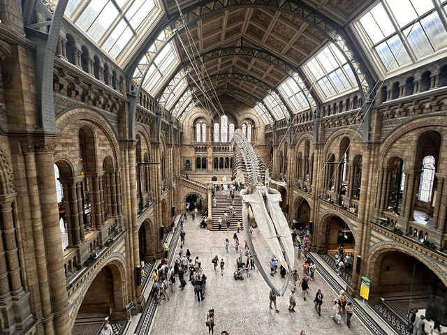 【ロンドン自然史博物館｜無料で恐竜と地球の謎に触れる！圧巻の博物館体験】