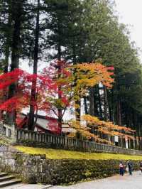 Nikko Japan