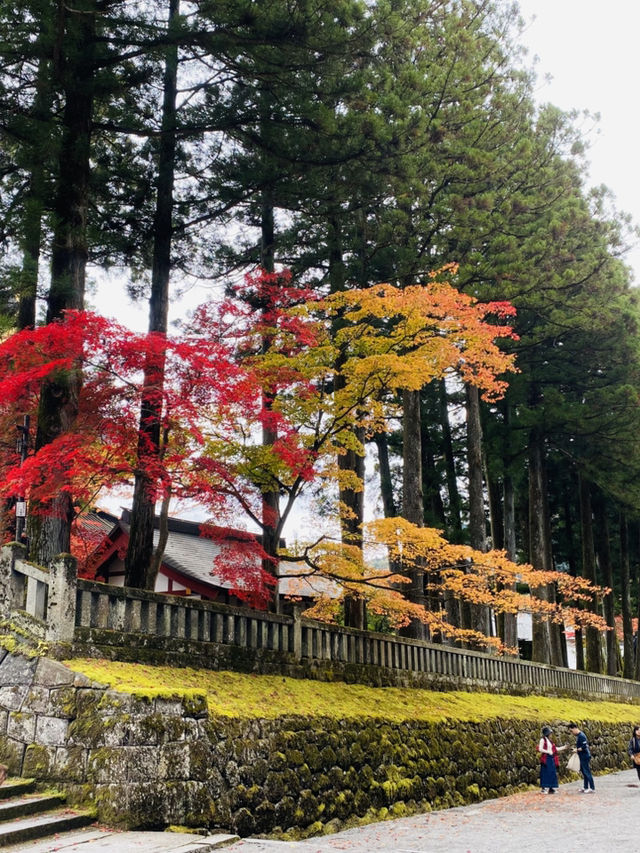 Nikko Japan