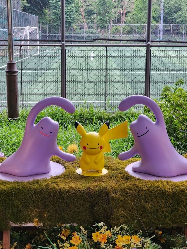 【ソウル🇰🇷】期間限定！メタモンガーデン🪻