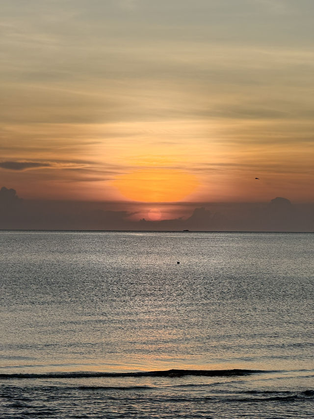 Tioman Island🏖️