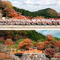 วัดคัตสึโอจิ (Katsuo-ji Temple) วัดแห่งชัยชนะของสา