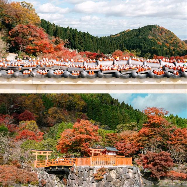 วัดคัตสึโอจิ (Katsuo-ji Temple) วัดแห่งชัยชนะของสา