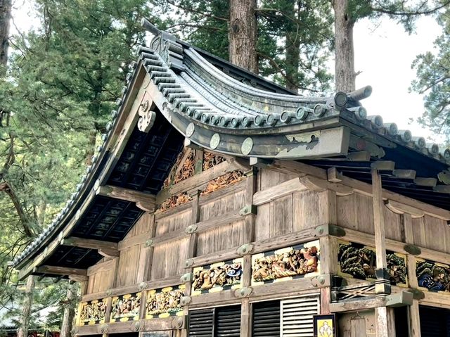 Unravelling the sacred animals inside the Toshogu Shrine