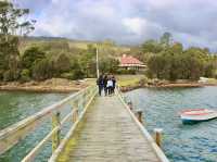 Still waters and slow moments: a gentle walk through Dunalley’s foreshore